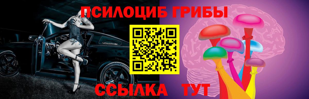 Галлюциногенные грибы Cubensis  Галлюциногенные грибы GOLDEN TEACHER  Вход с VPN  Губкин 